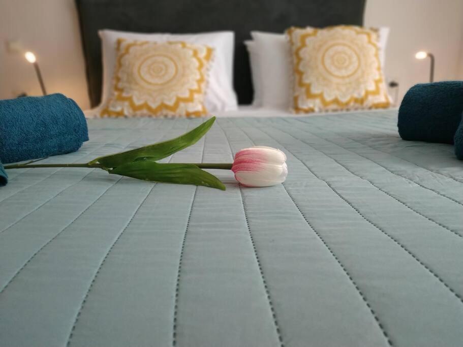 Stelisioanna Daire Hanya Dış mekan fotoğraf